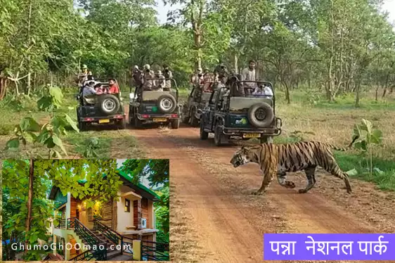 पन्ना  नेशनल पार्क  -Panna National Park