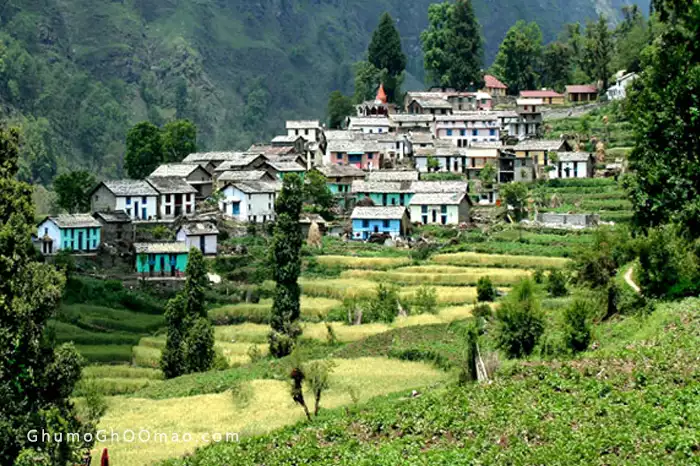 Tarikhet Village ranikhet